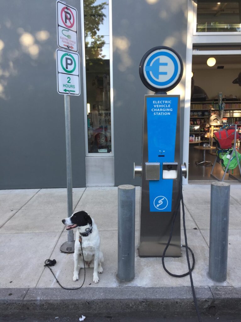 PUBLIC CHARGER IN PORTLAND OUTSIDE PET STORE. CREDIT: EVMATCH